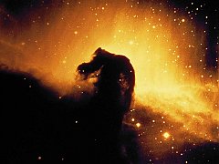 Horsehead Nebula in Orion